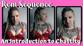 An Introduction To Chastity