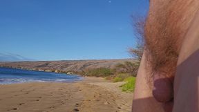 Sunny Morning on Maui