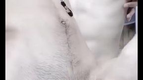 i love the way she holds my cock and sucks and licks it