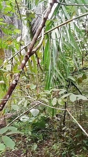 Mature Indonesian Woman Pissing in the Jungle