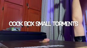 GEA DOMINA - COCK BOX SMALL TORMENTS (MOBILE)