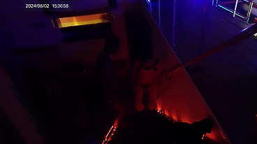 Johntrillium - update #68 - BradFinding - Aug 19, 2024