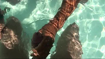 suck the huge cock of Matt SURFER