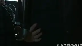 Seductive Japanese Babe Gives Mind-Blowing Blowjob To Stranger On Public Transport