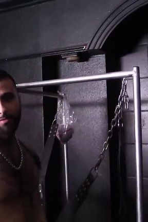 Hustleball Live Sex Show