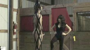 Suspension Cage Thrashing Part 1 (WMV)