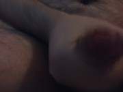 Paja y corrida de Oso peludo