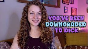 You've Been Downgraded To Dick