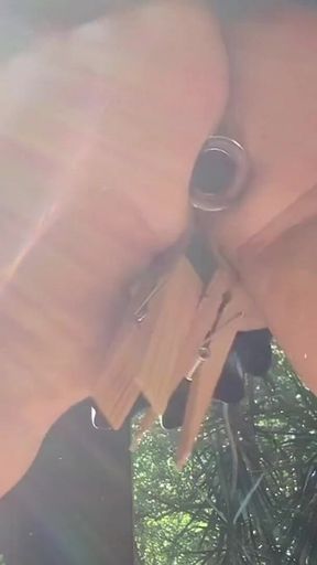 Back Porch Butt Plug