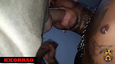 CANIL DO KXORRAO EDICAO 4! Parte 7