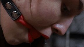 Training Stacy as a table (SD)