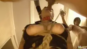 Sexy stewardness Azumi Harusakii giving an incredible blowjob