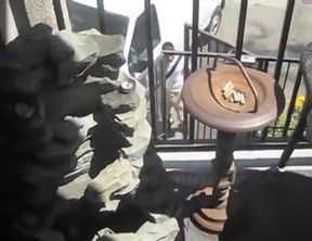 Raw Latin Breeding Outdoors