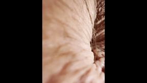 POINT OF VIEW - You Were Sitting in My Office Tabouret