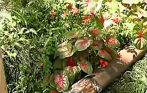 Shemale drilled by chick with strapon outdoors