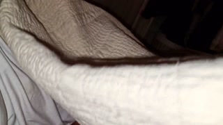 HOT MASSAGE WITH MY NEW STEPDAD MAKES ME VERY HORNY