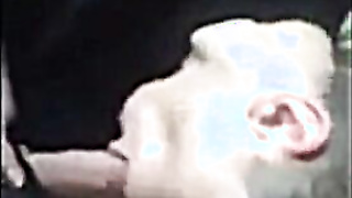 Spunky Oral job by Paddy