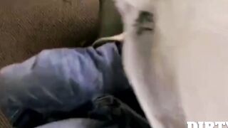 Dirty Boy Society's Twunk - Lean Muscular Hottie Gets Fucked Raw