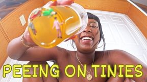 Peeing on Tinies ft Queen Ava - This pee fetish scene features giantess, tiny man, shrinking fetish, hairy pussy, and evil giantess - 4K MP4