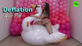 Alice Inflatable Swan Adventure