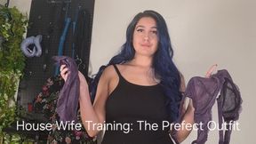 House Wife Training: The Perfect Outfit Feminization and Sissification Dirty Talk
