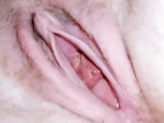 FTM Pussy Boy Clit Slow Motion Solo Close Ups