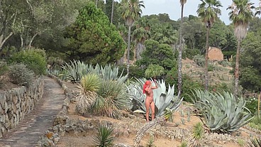Fucking in a cactus park