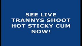 Live Tranny Cum 36