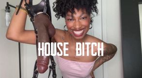 House Bitch