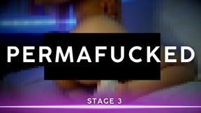 PERMAFUCKED: STAGE 3
