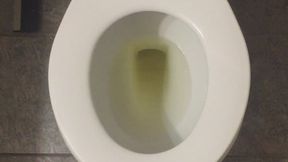 MSN THE ZONE GOLDEN PISS *MSN THE ZONE DISCONNECT ROOM NOISE*