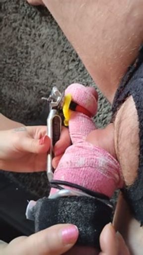 Cock conditioning stretching and twisting