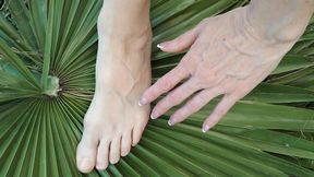 Nature and veins after mowing the lawn, tired feet with veins