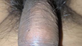 Black coxk