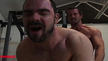 Alphamales - Gym Sex