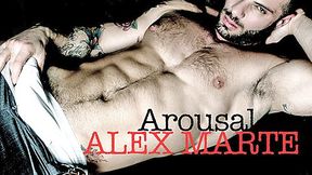 Arousal - MENatPLAY