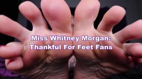 Miss Whitney Morgan: Thankful For Foot Fans