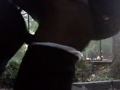 Ebony Bareback Buddies Outdoor Adventure