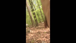 Driving and hiking naked, jacking off in the woods