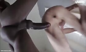 Pretty white twink getting banged by a huge  horse black cock bareback