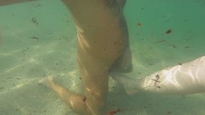 Underwater Handjob & cumshot at the nude beach