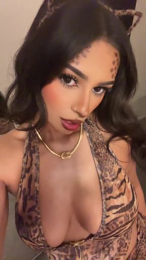 Cheetah print lingerie