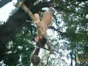 Insex 2000 04 21 Sapling Love