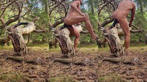 tip into the woods