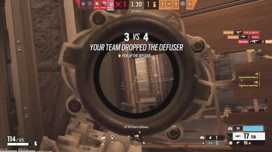 Best freaky rainbow six siege champion