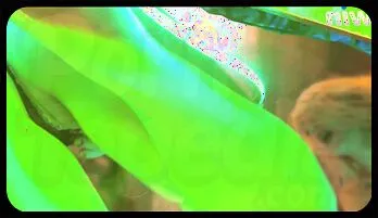 Merry Christmas 1win Orgy: Bella Mur, Sofi Puren, & Pretty Mary Get Wild