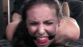 Brunette slave girl with ball gag in her mouth C.Calvert hogtied for tortures