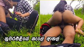 Sri Lankan couple's wild ride in public park ends with him unloading in her mouth