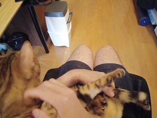 Playing