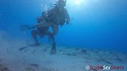 SexDivers SCUBA Diving Up Close and Personal